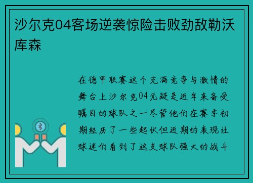 沙尔克04客场逆袭惊险击败劲敌勒沃库森 沙尔克04客场逆袭惊险击败劲敌勒沃库森